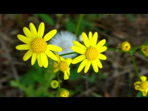 Przystań Zdrowia Szkwa 23