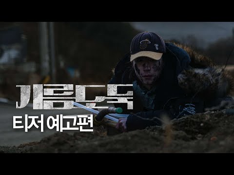 비디오 17