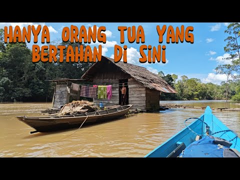 Life in a Dayak Village with Only Two Families, in the Teweh River Interior, Central Kalimantan