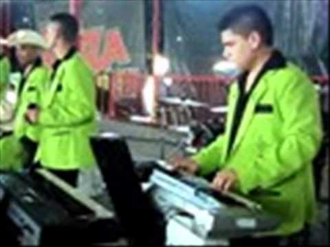 DESCENDENCIA D T C LA ZOPILOTA