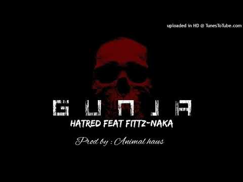 Gunja-Hatred Feat Fittz naka(Prod by Jordan kings-Animal Haus_-_2021)