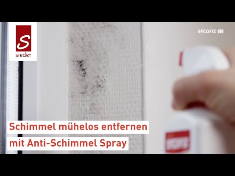 Anti Schimmel Spray | Schimmel am Fenster entfernen