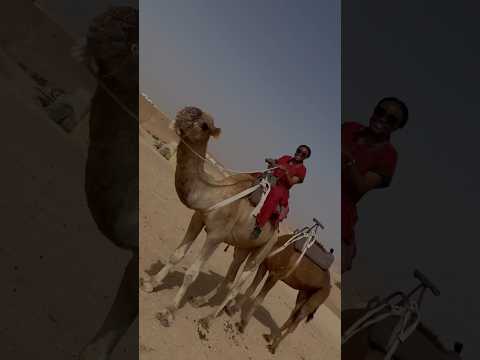 First camel ride at Agafay Desert, was super scared 😱 #camelride #travelexperience #funnyvideo