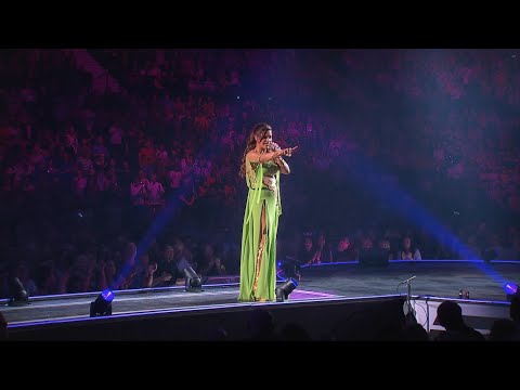 Ich Würd Dich So Gern Wiedersehn - Andrea Berg