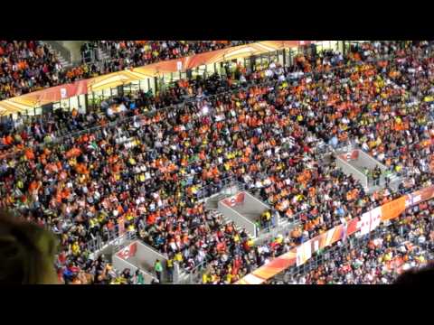 6.24.10 The Wave at Netherlands v. Cameroon