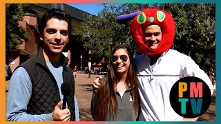 TurlingTalk | Valentine's Day Edition!