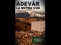 IN PREMIERA Cu CARMEN AVRAM ADEVAR LA METRU CUB Eng