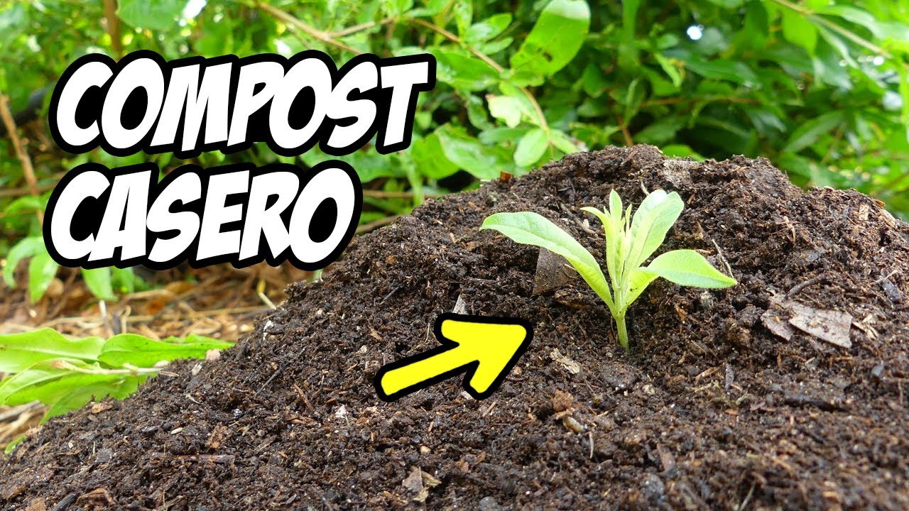 Compost Casero: 3 Métodos Fáciles para una Huerta Exitosa