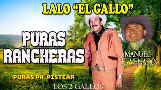 Lalo El Gallo Elizalde - Manuel El Venado- Puras Rancheras - Pa´ Pistear- Mix de Éxito- Dos Gallos