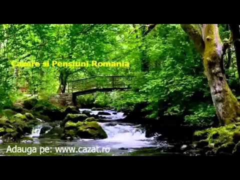 Cazare Aciuta, Arad - Cazat.ro