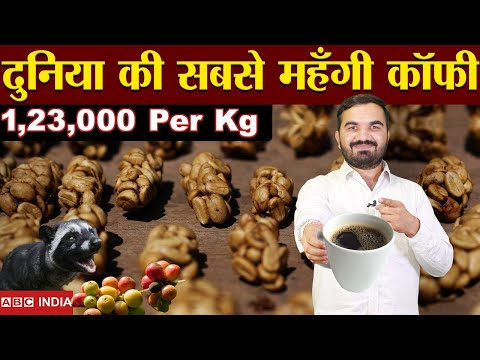 1 Lakh Rupee Coffee | civet cat coffee farming | most expensive | Kopi Luwak Coffee Farming #civet