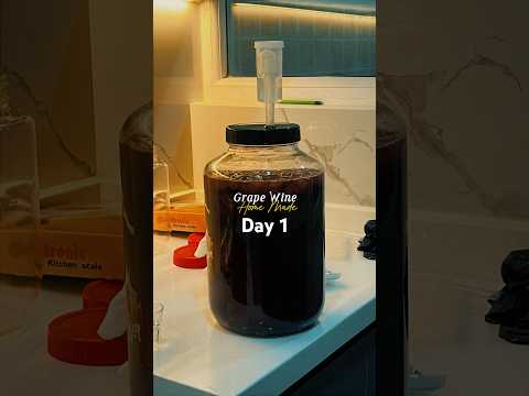 Day 1 of Making Grape Wine at Home