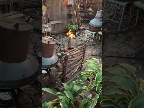 小さなコテージガーデンを作るにはどうすればよいですか？自然な外観を作成するにはどのような植物を育てるべきですか?  庭園