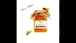 Ant-Bee -1990 - Pure Electric Honey
