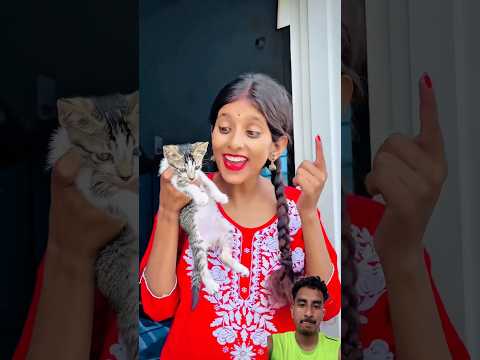 Mummy Ne Mithai Banai 😂🤤 | Mini Vlog #shorts #minivlog #ashortaday #vlog #tranding #cats #cat