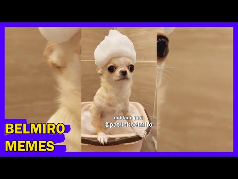 Belmiro Memes: Melhores dublagens engraçadas da semana 23