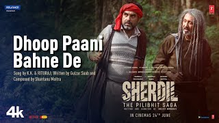 Dhoop Paani Bahne De (From 'Sherdil - The Pilibhit Saga') song artwork