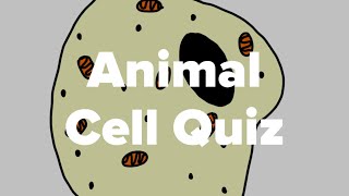 Animal Cell Quiz