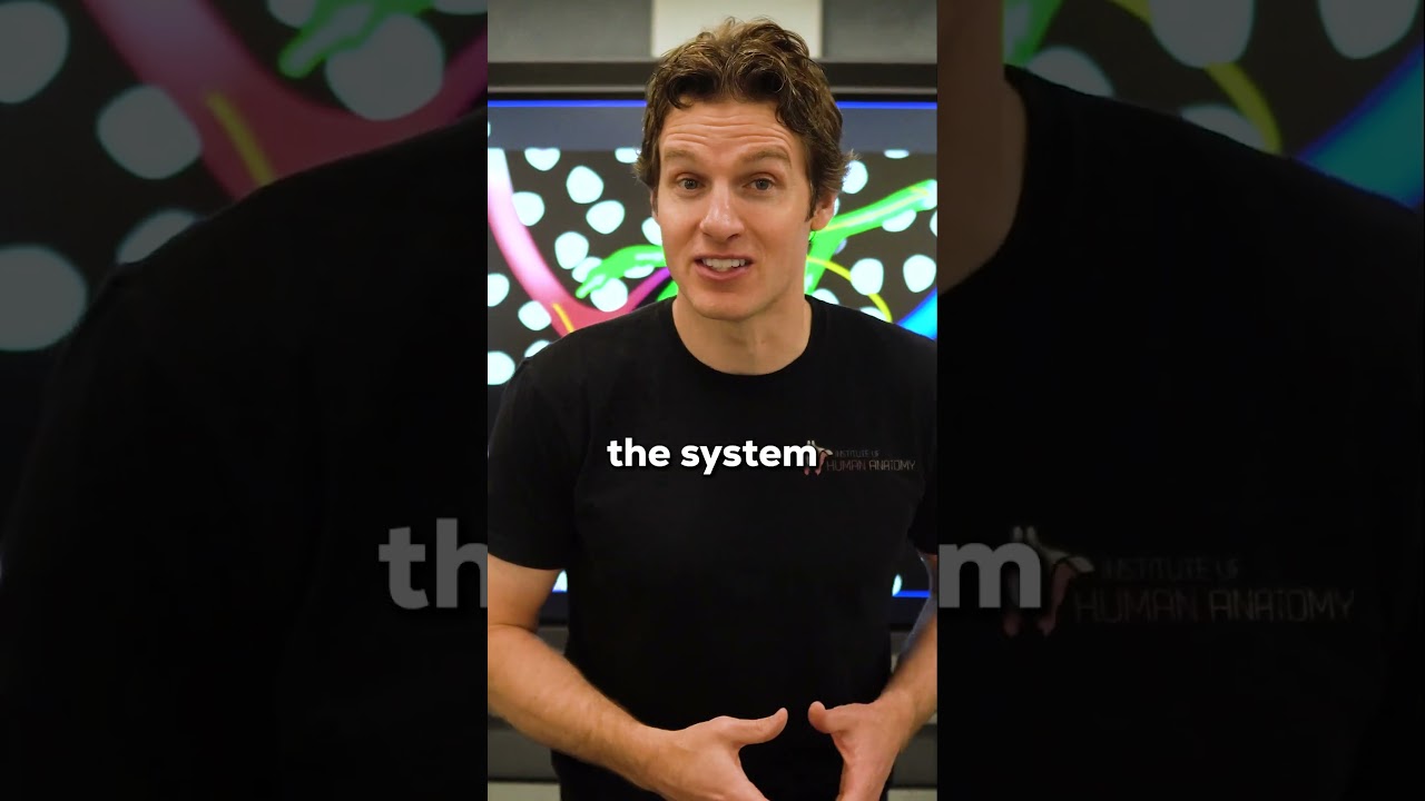 Lymphatic System and the Immune System