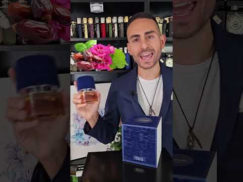 Dolce & Gabbana The One Luminous Night ON A BUDGET! | Lumiere Garcon by Fragrance World Review!