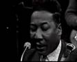Muddy Waters & James Cotton - You Can't Loose What...