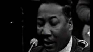 Muddy Waters &amp; James Cotton - You Can&#39;t Loose What...