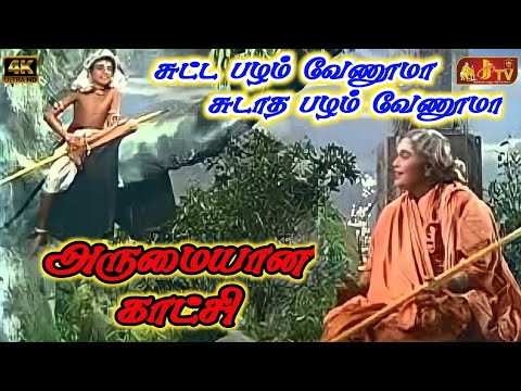 Sutta Pazham Sudatha Pazham Super Scene #JJTV_Pollachi