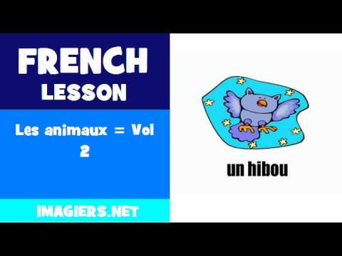 FRENCH LESSON #187 = Les animaux = Vol 2