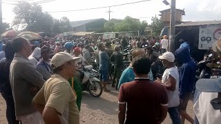 Download lagu CARA MERPATI KENTONG DI MAINKAN mp3