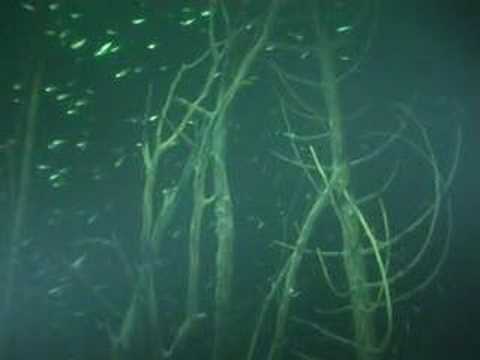 Walchensee Urfeld Cafe´