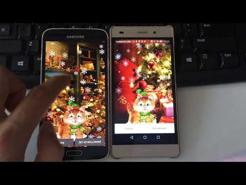 Winter Kitty Live Wallpaper Video