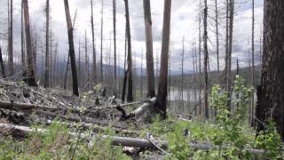 Hike up Howe Ridge and down to Howe Lake.