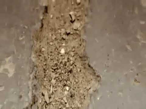 The Shadowplay - Trice