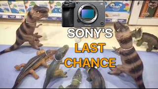 Sony's Last Chance To Gain Momentum Back From Nikon and Canon