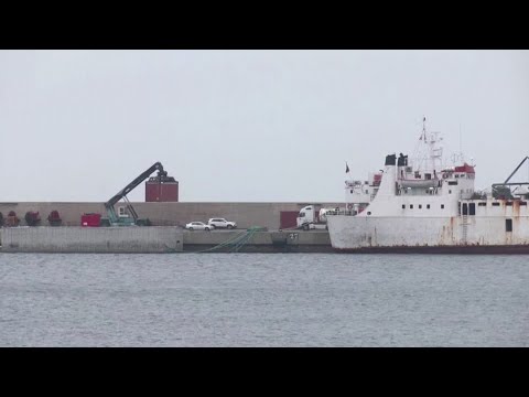西班牙報告呼籲在賤民船上殺牛 (Spanish report calls for killing of cattle on pariah ship)