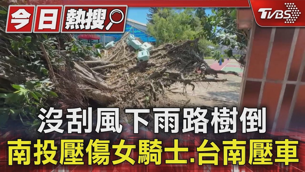 又沒刮風下雨!中南部路樹倒塌 女騎士重傷、壓車頂鈑金