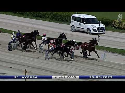 Aversa trotto 29 Marzo 2023 - 2° Corsa