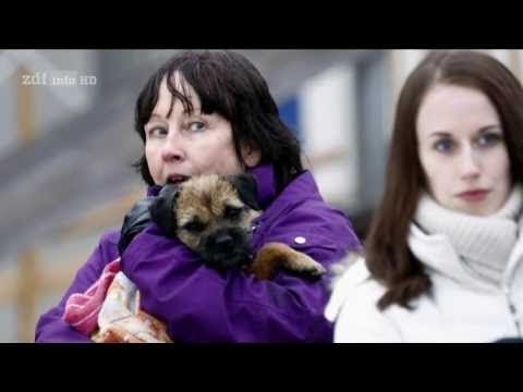 (Doku in HD) Königliche Kindheit - Nachwuchs bei den Windsors