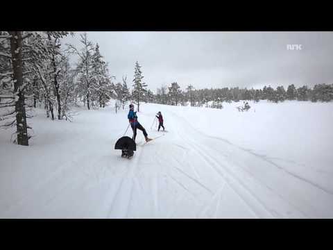 Mad Tjur/Capercaillie/Wood Grouse attacks skiing kids in Norway