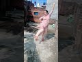 Shishi Bhari Gulab Ki Youtubeshorts