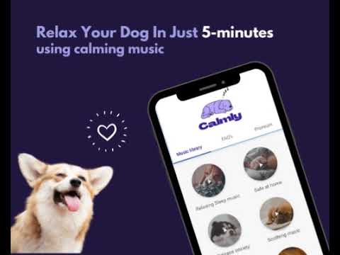 Relax my Dog : Calmly