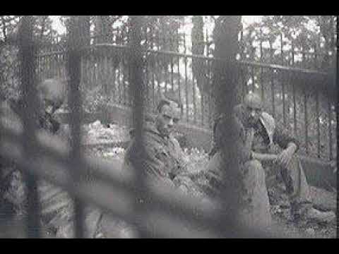 The Cutthroats - Reality All The Time [1994]