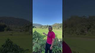 Download lagu Mulang ta niku kundang #lagu #lagulampung #lagulampungterbaik #musiklampung mp3