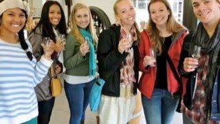 Robert Kramer -  The Human Element