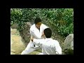 Тэкки Сандан Бункай Tekki Sandan Bunkai