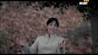 كلمات اغنية شاورلي جليلة