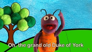 Songs with the Boogiebug | GRAND OLD DUKE OF YORK | Nursery Rhymes | Songs for Babies