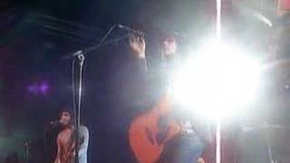 Pop Destroyed The Scene - Rookie of the Year