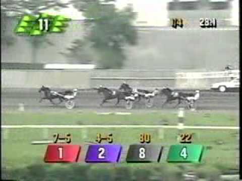 Hambletonian 1996 -Continentalvictory