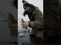 Video Thumbnail for These Perch EAT Northern Pike